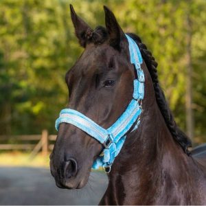 Pehmoriimu pony